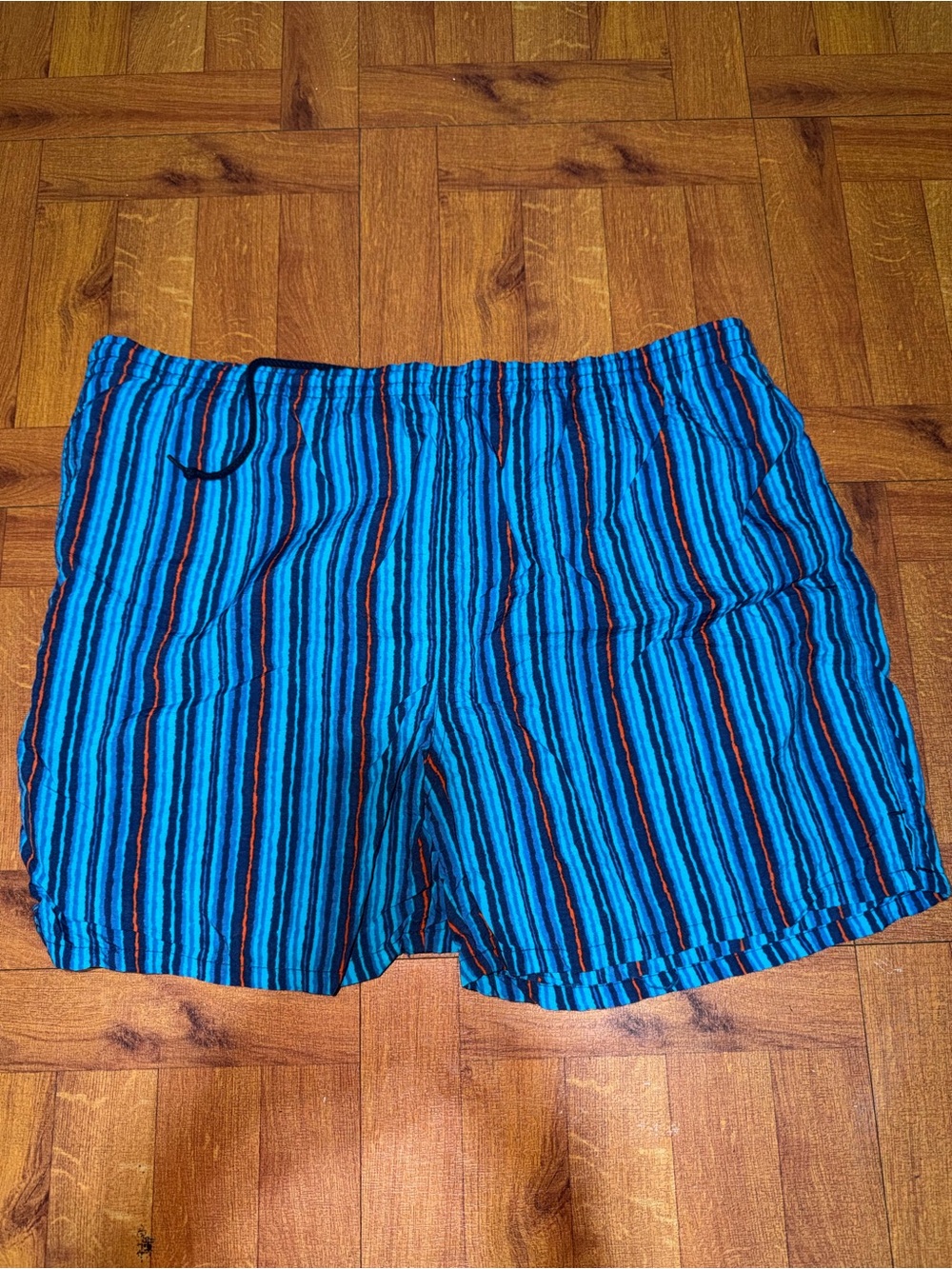 Men's Blue Striped Quick-Dry Swim Trunks